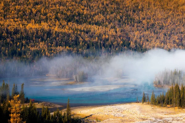 Hermoso Paisaje Bosque Otoño — Foto de Stock