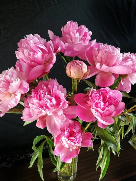 Rosas Rosadas Jarrón Sobre Fondo Oscuro — Foto de Stock