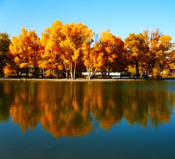 这个城市美丽的秋天公园 — 图库照片