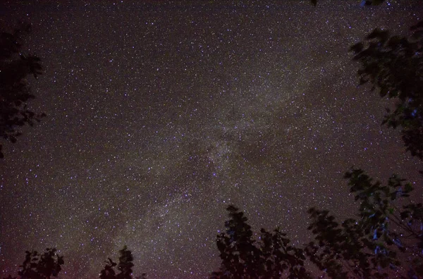 Vista Nocturna Hermosa Vía Láctea Cielo Nocturno Con Estrellas — Foto de Stock