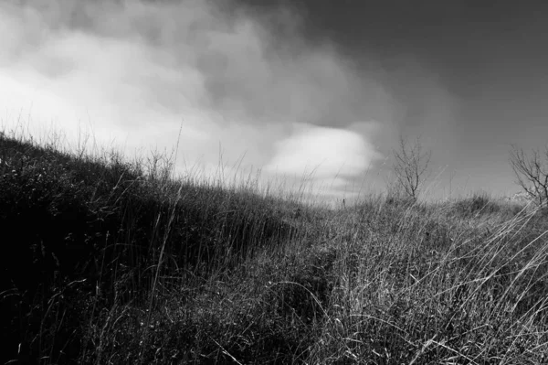 field landscape and sky with clouds