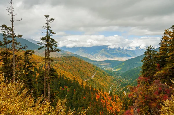 Чудовий Краєвид Карпатських Гір — стокове фото