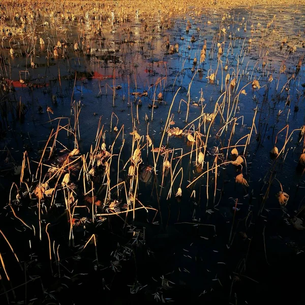 Hermosa Vista Sobre Lago Fondo — Foto de Stock