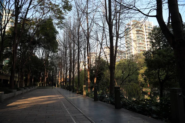 Hermosa Vista Del Parque Ciudad — Foto de Stock