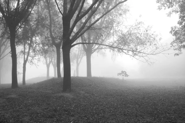 Bela Vista Paisagem Nebulosa — Fotografia de Stock