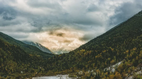 Prachtig Landschap Van Karpaten — Stockfoto