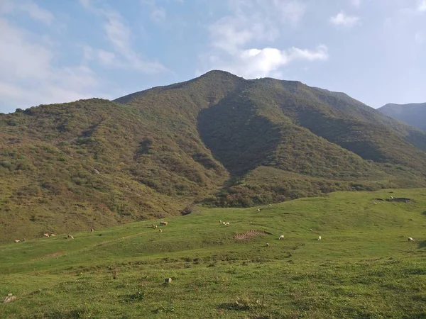 Hermoso Paisaje Las Montañas — Foto de Stock