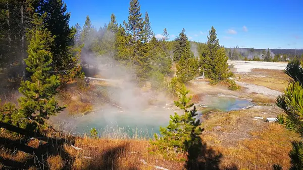 Hermoso Paisaje Con Una Cascada Bosque — Foto de Stock