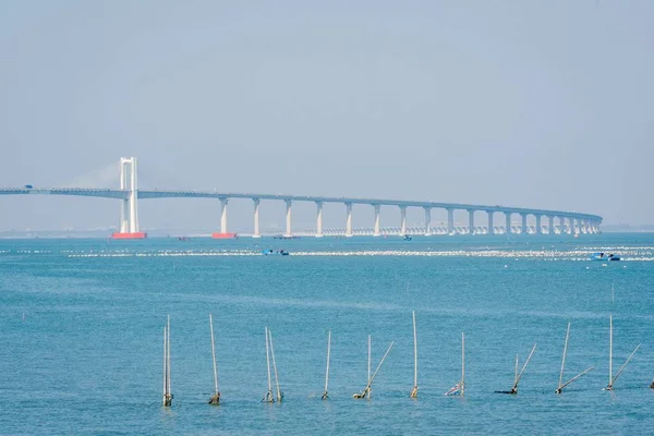 aerial view of the sea and the bridge in the morning