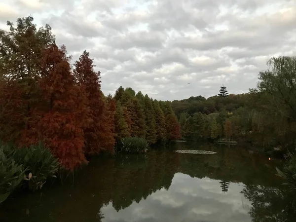 autumn landscape with trees and reflections