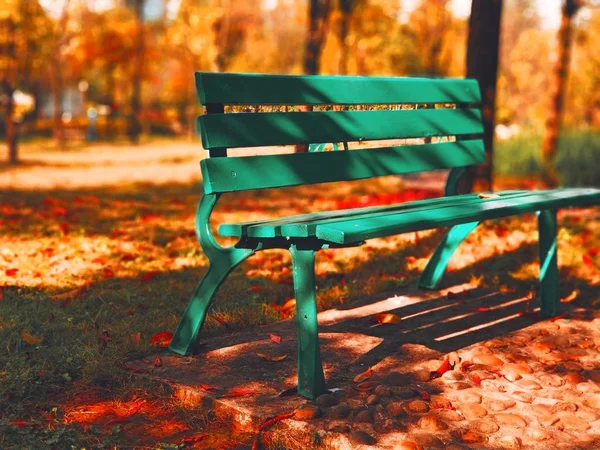 Banco Parque Temporada Otoño — Foto de Stock