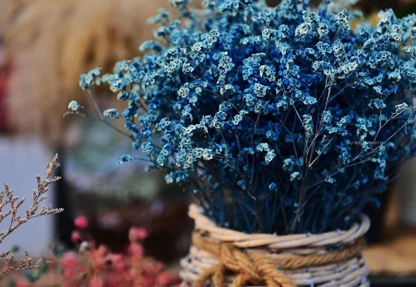Piękny Bukiet Kwiatów Lawendy Wazonie — Zdjęcie stockowe