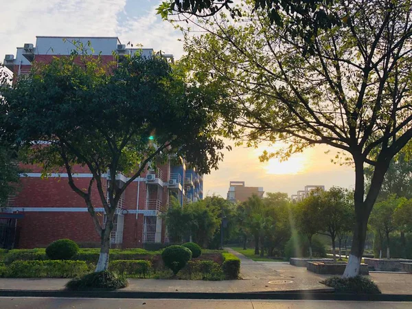 Vista Del Parque Ciudad Por Mañana — Foto de Stock