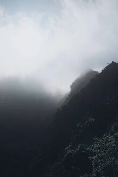 Paisaje Montaña Con Niebla Nubes — Foto de Stock