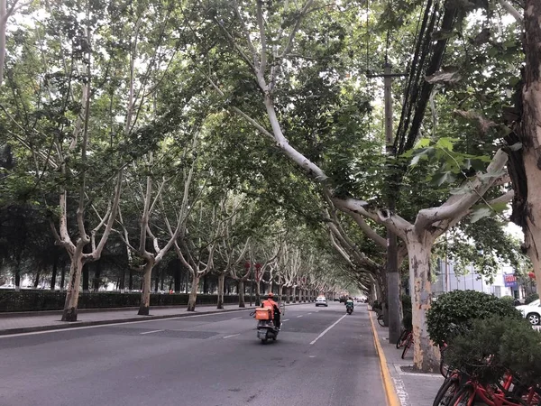 Una Hermosa Vista Parque Ciudad Verano — Foto de Stock