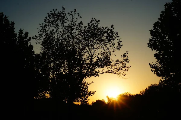 Vista Panorámica Aire Libre Amanecer — Foto de Stock