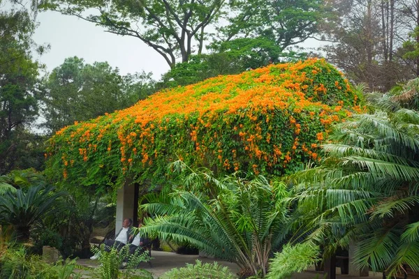 beautiful garden in spring time