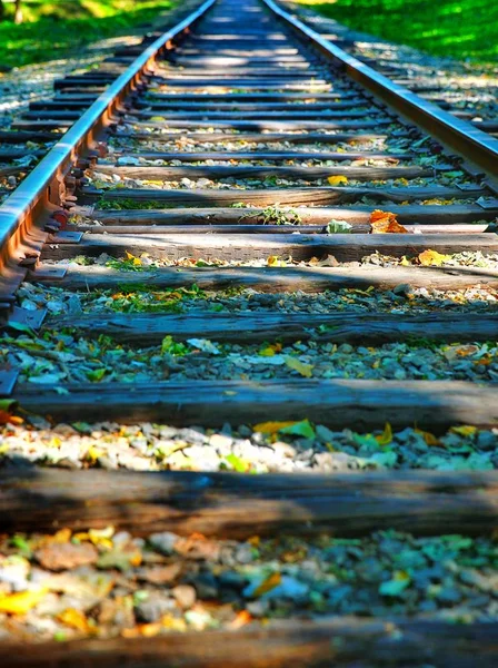 Vias Férreas Para Transporte Ferroviário — Fotografia de Stock