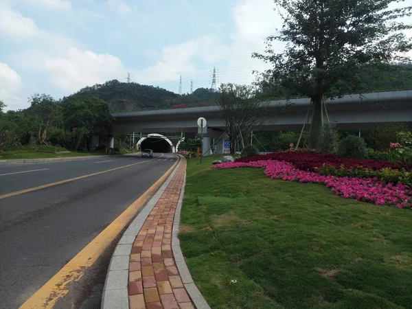 Camino Vacío Parque — Foto de Stock