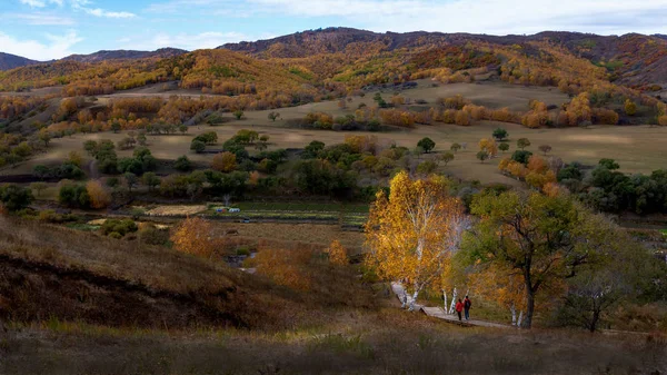 Hermoso Paisaje Con Árbol Las Montañas — Foto de Stock