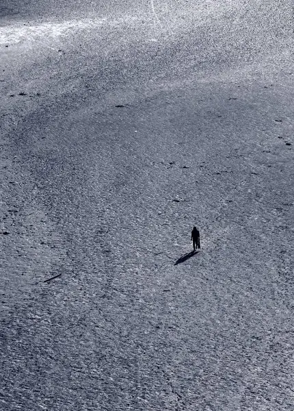 Una Bandada Gaviotas Lago — Foto de Stock