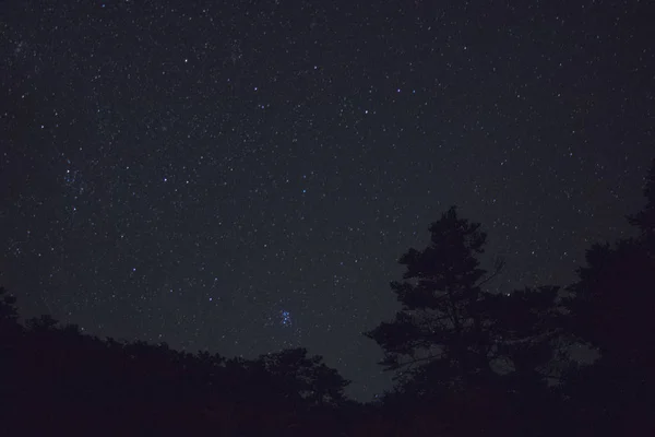 Cielo Nocturno Con Estrellas Astronomía — Foto de Stock