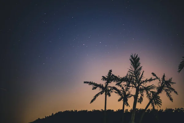 Hermoso Cielo Estrellado Noche — Foto de Stock