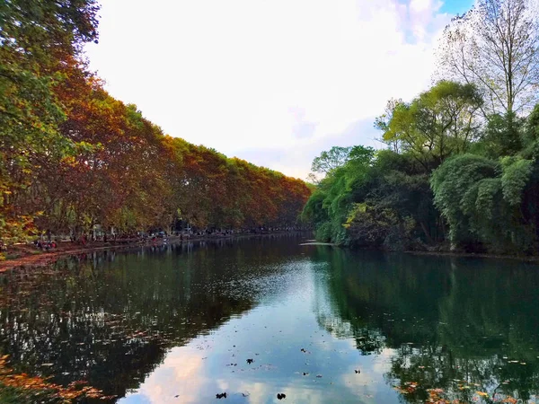 stock image beautiful landscape in the park