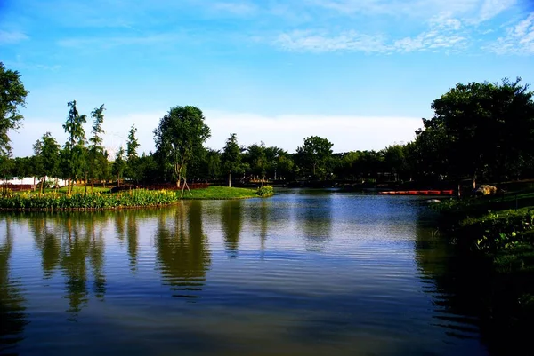 Parktaki Gölün Güzel Manzarası — Stok fotoğraf