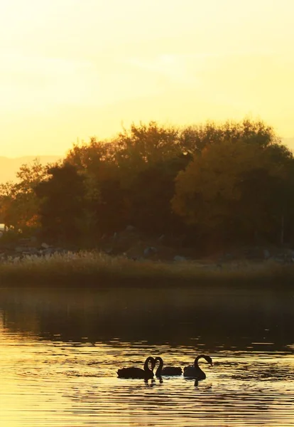 Hermoso Atardecer Lago — Foto de Stock