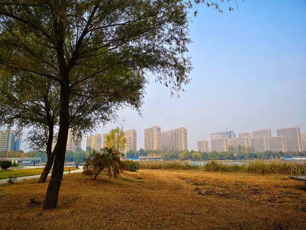 Hermosa Vista Del Parque Ciudad — Foto de Stock