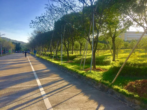 Camino Parque — Foto de Stock