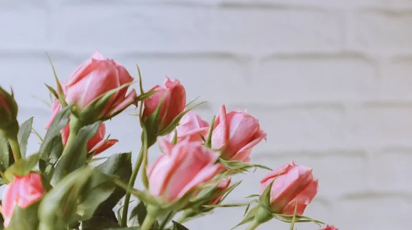 Piękny Bukiet Róż Kwiatów — Zdjęcie stockowe