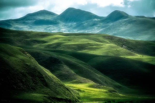 Bela Paisagem Grama Verde Nas Montanhas — Fotografia de Stock