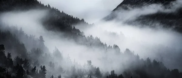 Malerischer Blick Auf Die Outdoor Szene — Stockfoto