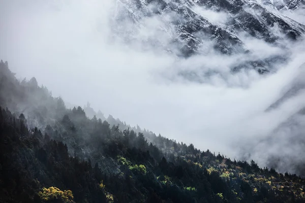 Berglandschaft Mit Nebel Und Wolken — Stockfoto