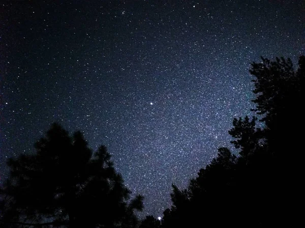 Hermoso Cielo Estrellado Noche — Foto de Stock