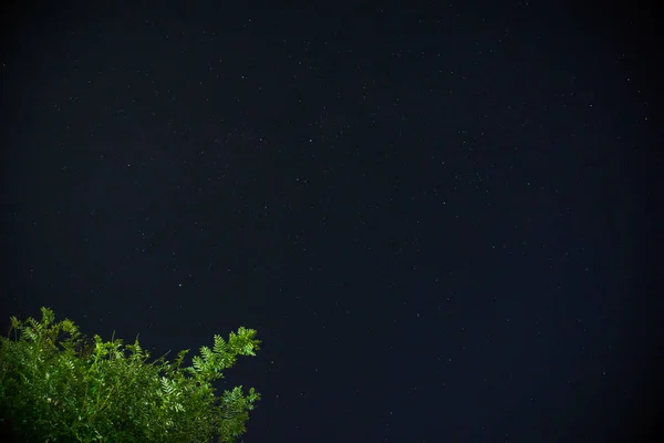 Hermoso Cielo Estrellado Noche — Foto de Stock