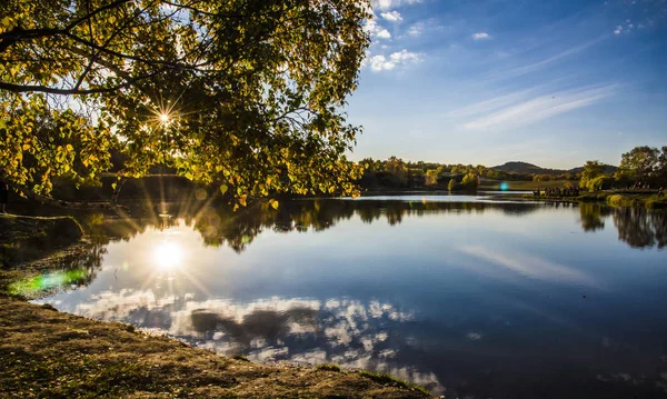 Bela Paisagem Com Árvores Reflexões — Fotografia de Stock