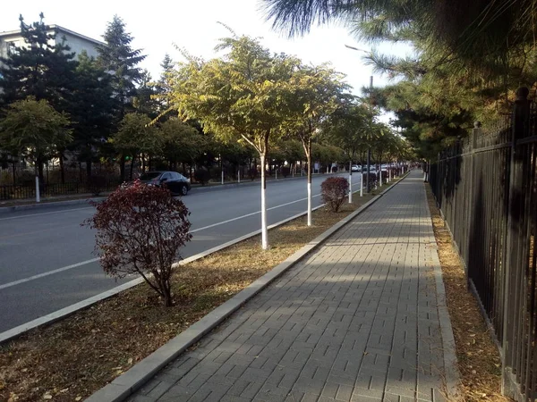 Camino Parque Ciudad — Foto de Stock