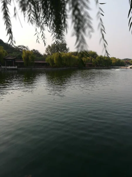 Hermoso Paisaje Con Árbol Lago — Foto de Stock