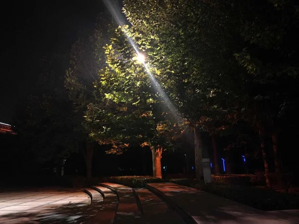 Hermoso Paisaje Nocturno Parque Ciudad — Foto de Stock