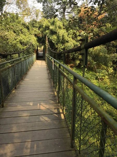 Puente Madera Parque — Foto de Stock