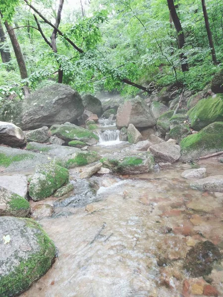 Cascada Bosque Naturaleza Flora Con Flujo Agua — Foto de Stock