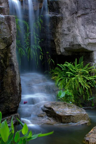 Wodospad Lesie Przyrodzie Florze Przepływem Wody — Zdjęcie stockowe