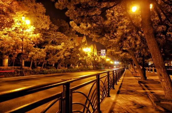 stock image night view of the city of the bridge in the evening