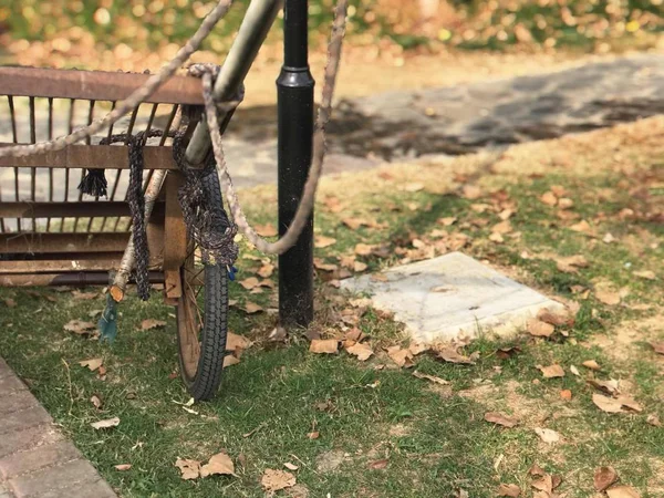 Vieux Vélo Dans Parc — Photo