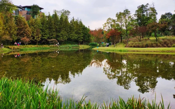 Şehrin Güzel Parkı — Stok fotoğraf