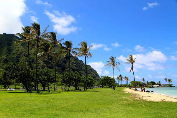 Playa Tropical Con Palmeras Cielo Azul — Foto de Stock