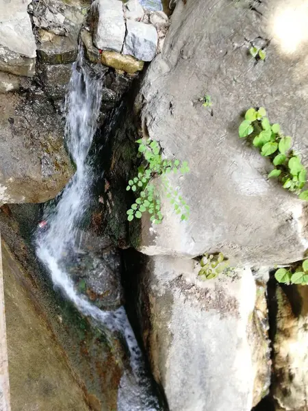 Cascada Bosque Naturaleza Flora Con Flujo Agua — Foto de Stock